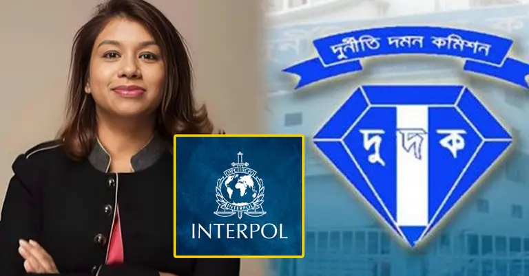 টিউলিপ ও ইন্টারপোল এবং দুদক